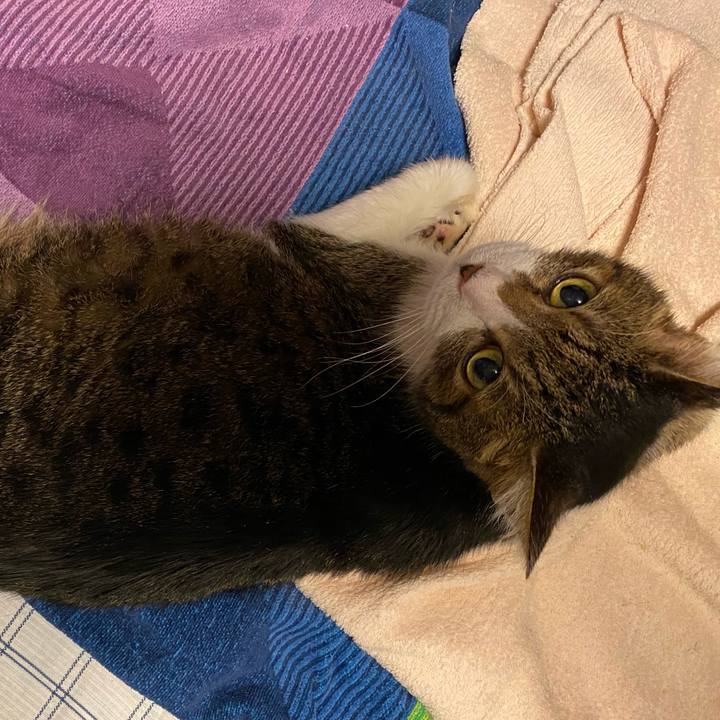 D4d6a6a1 69c4 4615 aee9 5a8064300ac3 1599918299365