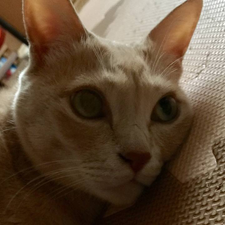 D4d6b120 4c29 432b 9332 7e4af1a5bf14 1568975061173