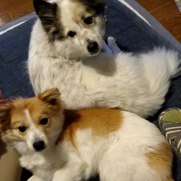 D4d6e1ba b551 4c76 83d9 1d9f6da25a79 1517487547096