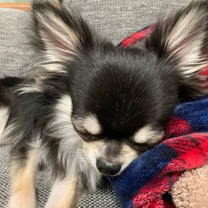 D4d6eba2 73a6 4395 921e c04dd63f853e 1612623867140