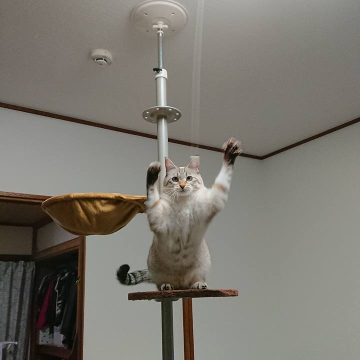 D4d72cd9 a1ce 4e12 b19c 087d8ab3eb63 1512812085361