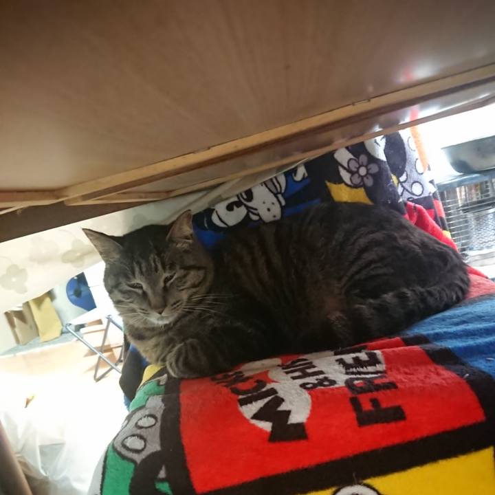 D4d74828 e01a 4288 9d12 6abe7a648178 1651495137626