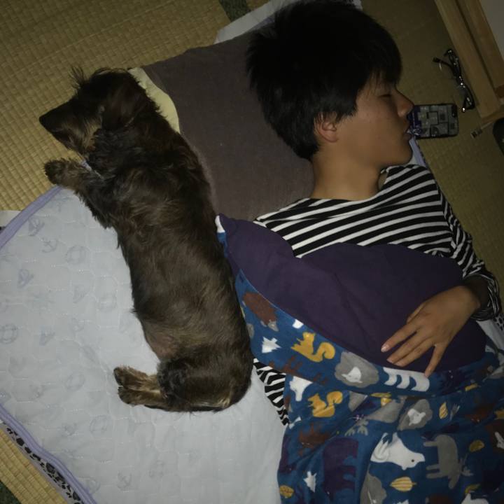 D4d759d3 abd6 434f 9186 08030f3d697d 1556896276222