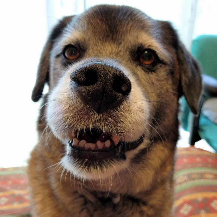 D4d75d42 6934 4d7b 888a d09fc9831964 1527035354455