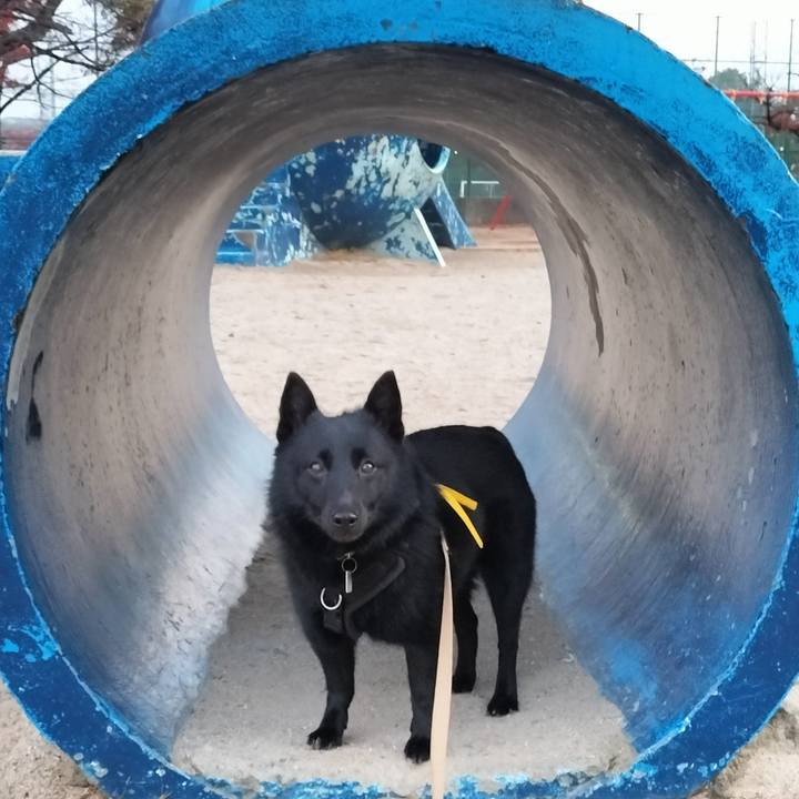 D4d769b5 e140 4fa5 8551 ce542274bc85 1701123345326