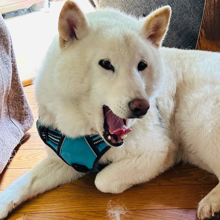 D4d7a054 af11 4777 b637 af01d5ee7fa1 1684646020457