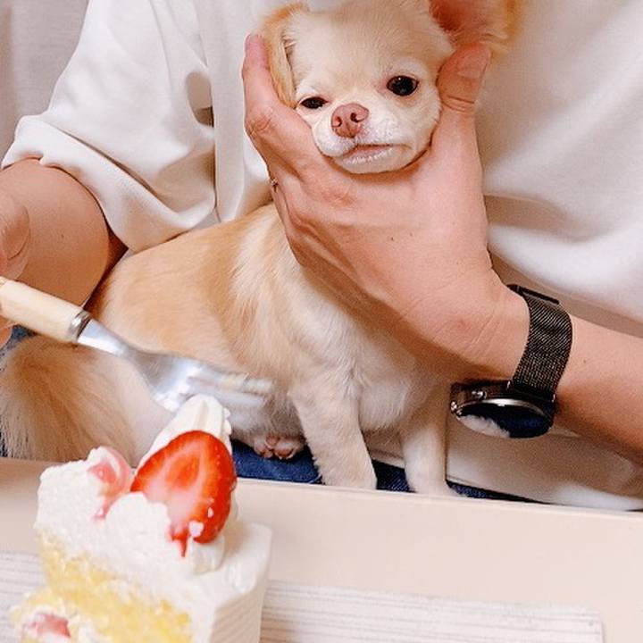 D4d7ce85 bc57 43d2 832a 5d94c30683a2 1628737285880