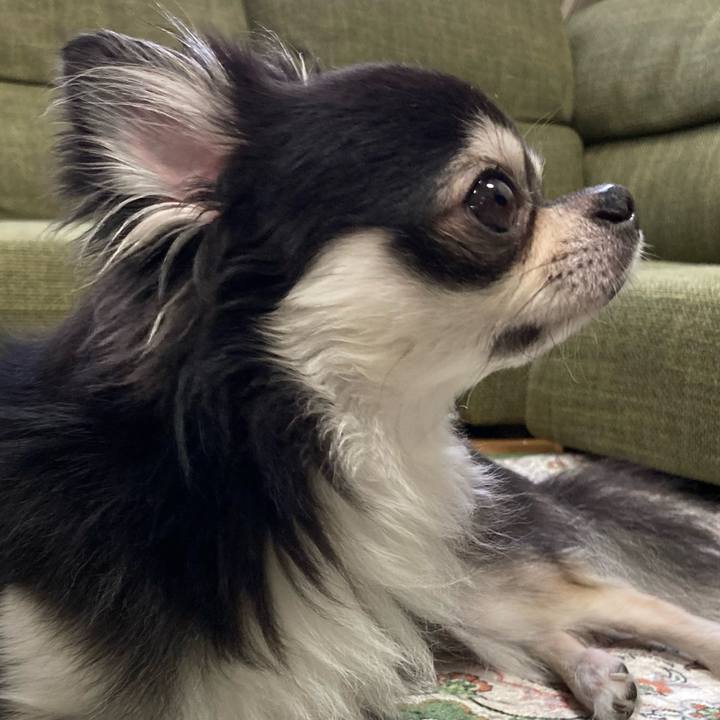 D4d7eabc 57d3 4943 90d8 0871c2aa2667 1663474528089