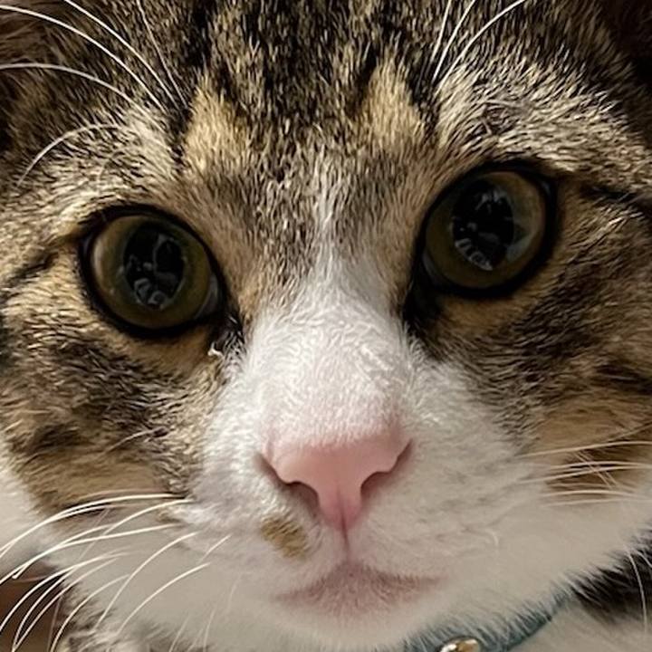 D4d80627 5c1e 49a3 a02c 6d9a7a8cc69d 1665182979987