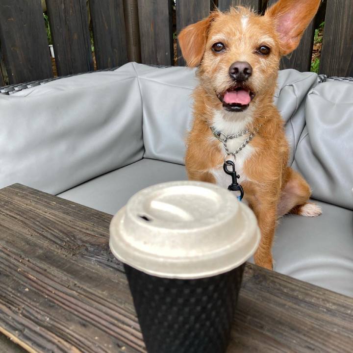 D4d845cc 3635 4b79 87ea 7ccb4c4d7967 1625722391396