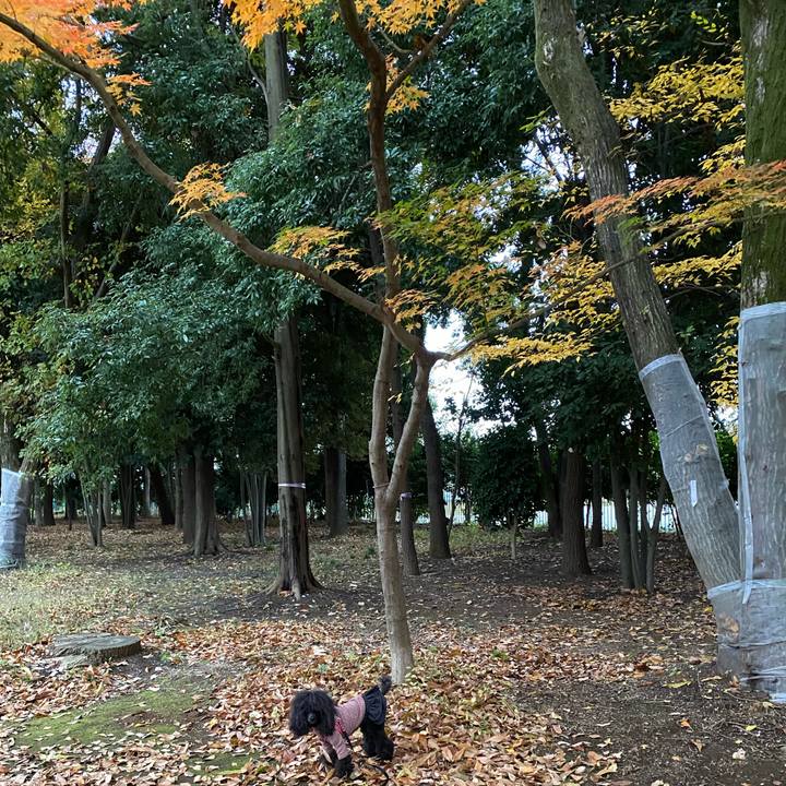 D4d86bba e9ef 4cf9 8e7a 3d2ad9bcb54a 1669855748078