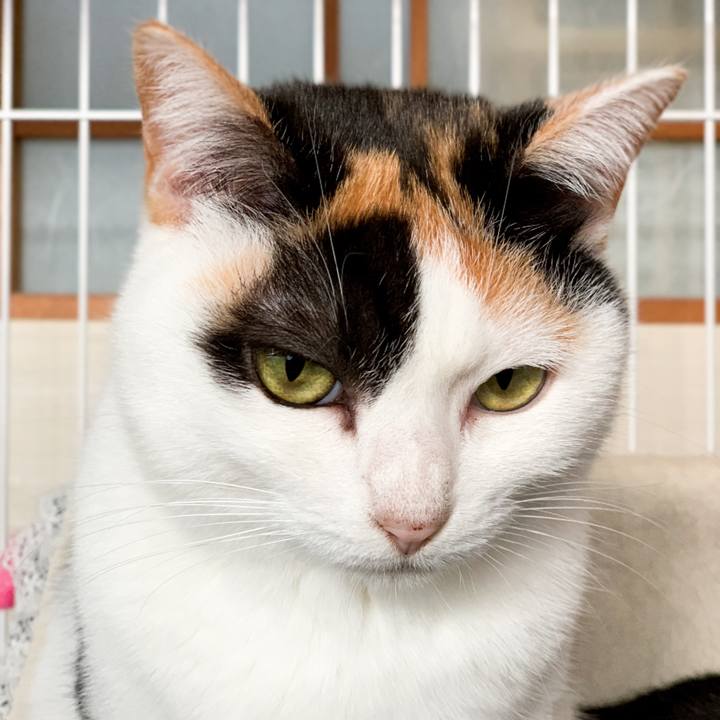 D4d8a981 2136 4e5f 8087 8b84b33603fc 1545707543045