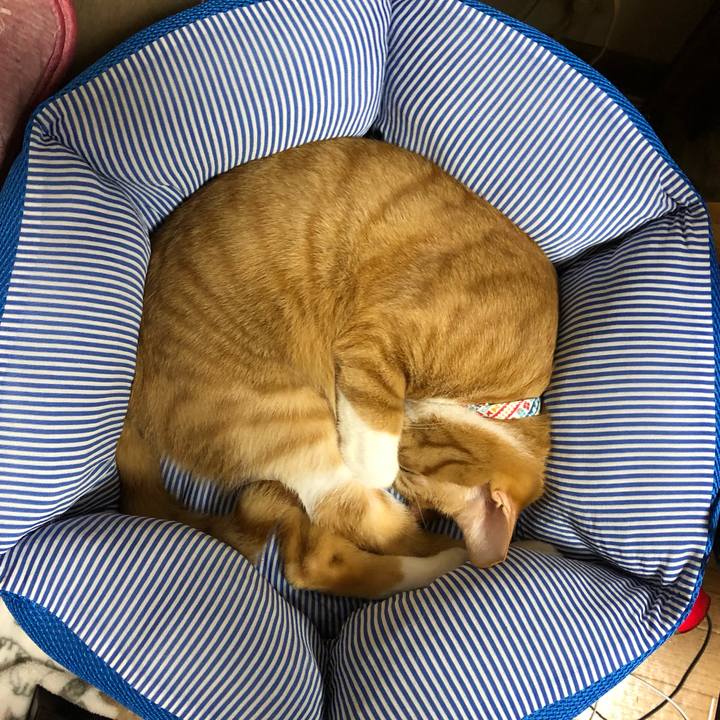 D4d8abd1 f9a6 44fe a4aa 60fbadd2aa76 1562753266251