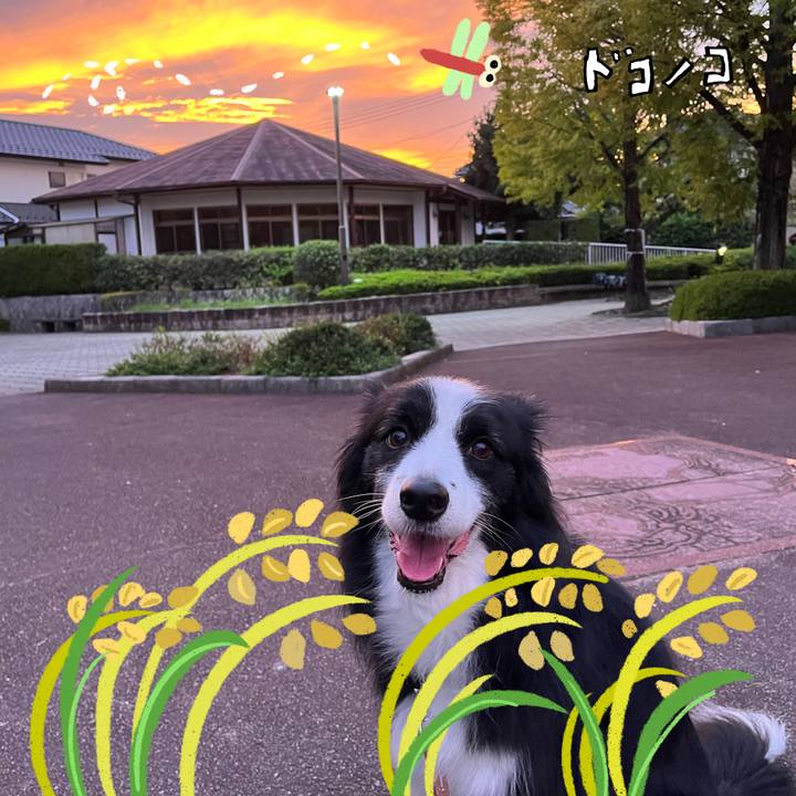 D4d8c81b 8424 42f9 baa3 7fb17fc49236 1761212004686