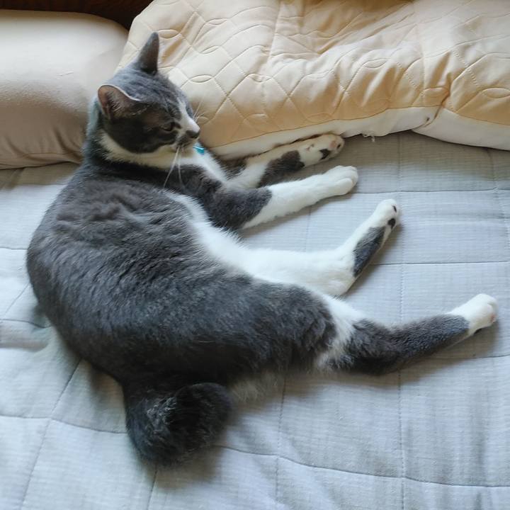 D4d8e7ea 8b3b 459d b4cc 1cad4eb51f34 1590711701822