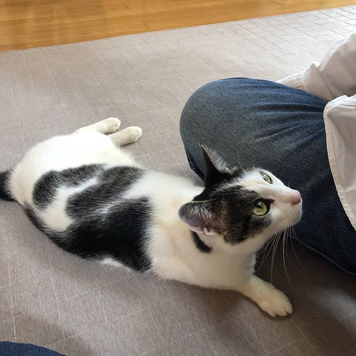 D4d94371 4ad7 43ce b8e4 44198f2a457d 1651275907676