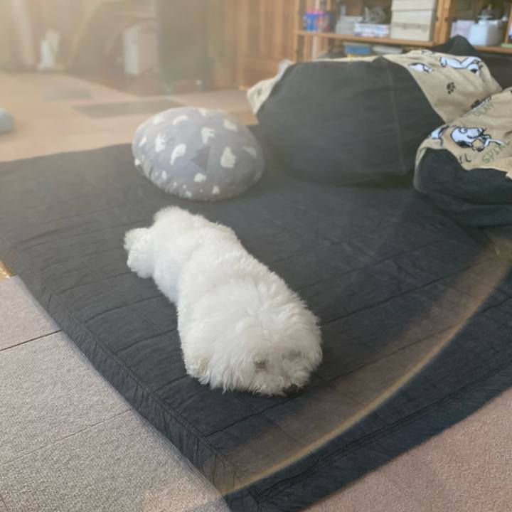 D4d95482 94cd 4d50 85f5 aec0f8b14413 1633246792153