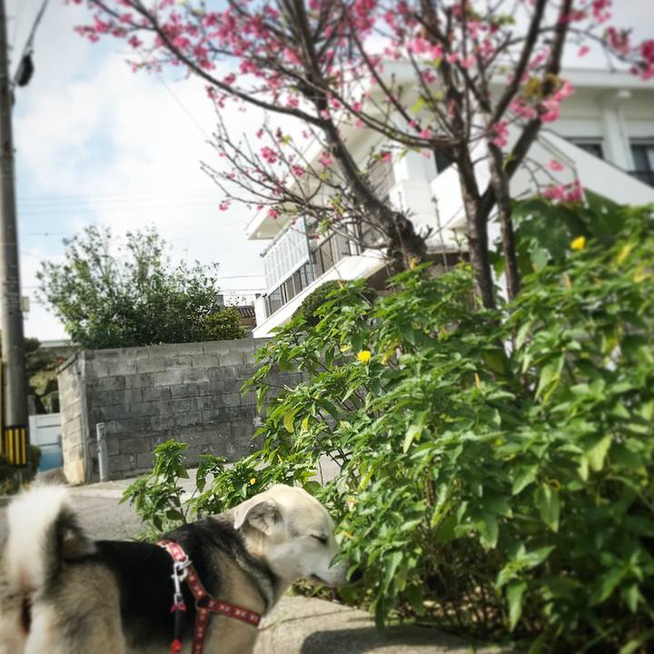 D4d95872 05d0 43db b762 fba585c6afa8 1518934923174