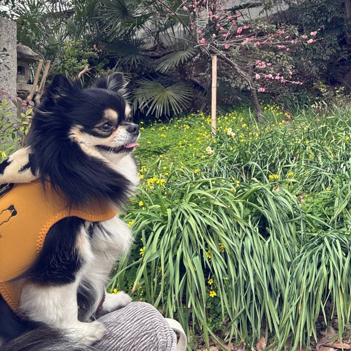 D4d962fb ac40 4aa8 bf48 49bcb0e6b87a 1758854861218