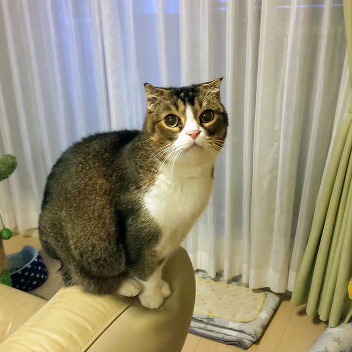 D4d985db 3136 49d8 a292 17960ca70353 1731018548907