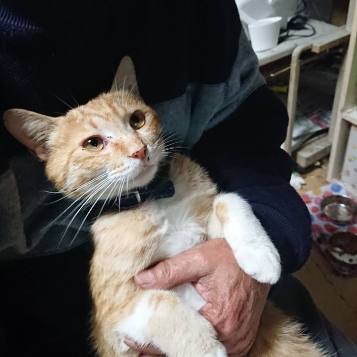 D4d9903f 1bdc 43e9 8b7c 7177fb6504d5 1559298069720