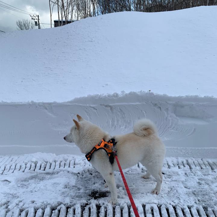 D4d9969e 9a06 4201 8938 161731ddc855 1640264835469