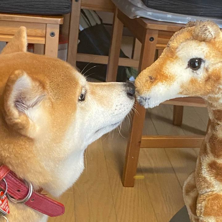 D4d9eff3 1b92 4c88 a61f 5ec8c105c470 1615212232237