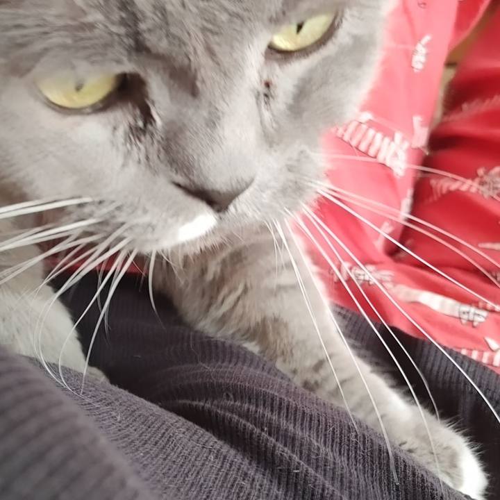 D4da08af 5678 4f6b 86a0 8d85bcf5b03c 1772249208922