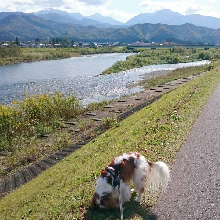 D4da7d6f dd7b 4d77 bc5c eaf437103bcd 1540089295034