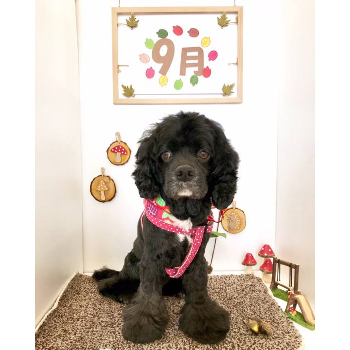 D4daa4cc a499 4a5c b130 7f25799e7a78 1568273134040