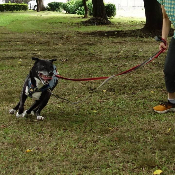 D4daad60 9177 4bcc b0d0 e5cf6f945adc 1719966717646