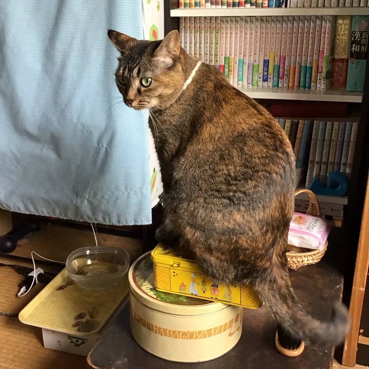 D4dab183 3f5c 40fe b4ec 28d19f976788 1716266942096