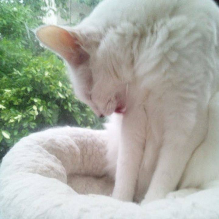 D4dab9d3 3701 4138 a7e8 e6eea65de350 1685067380725