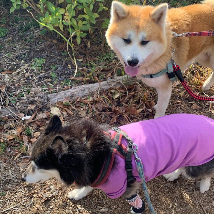 D4dad8e6 0723 4c16 b961 70589e8519be 1703339408002