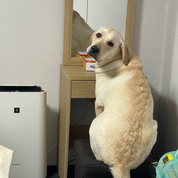 D4dafd05 1b4d 4a60 87ee fc1ce712d585 1638181028974