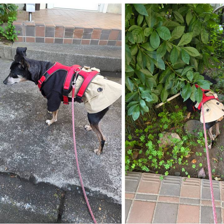 D4db0514 4d25 4a87 b3cf 271b54d45d69 1764116437168