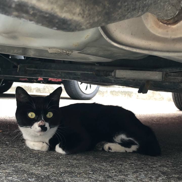 D4db1158 239c 4a7c a407 79271857bd63 1536308878944