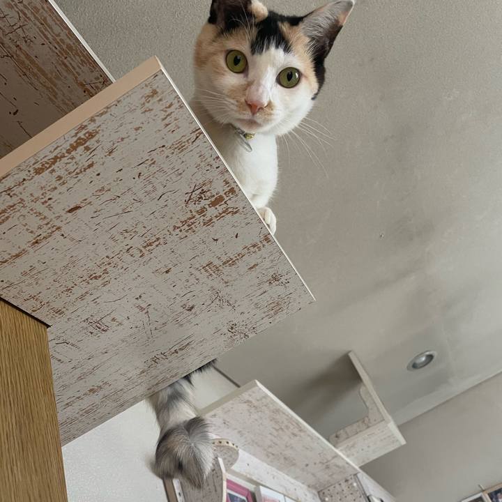 D4db126e 59af 4fa4 933d 49e6676533c6 1682308439825