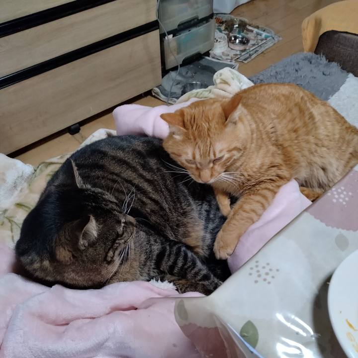 D4db5240 0379 42e6 a8b7 17da668e0a41 1674457880868