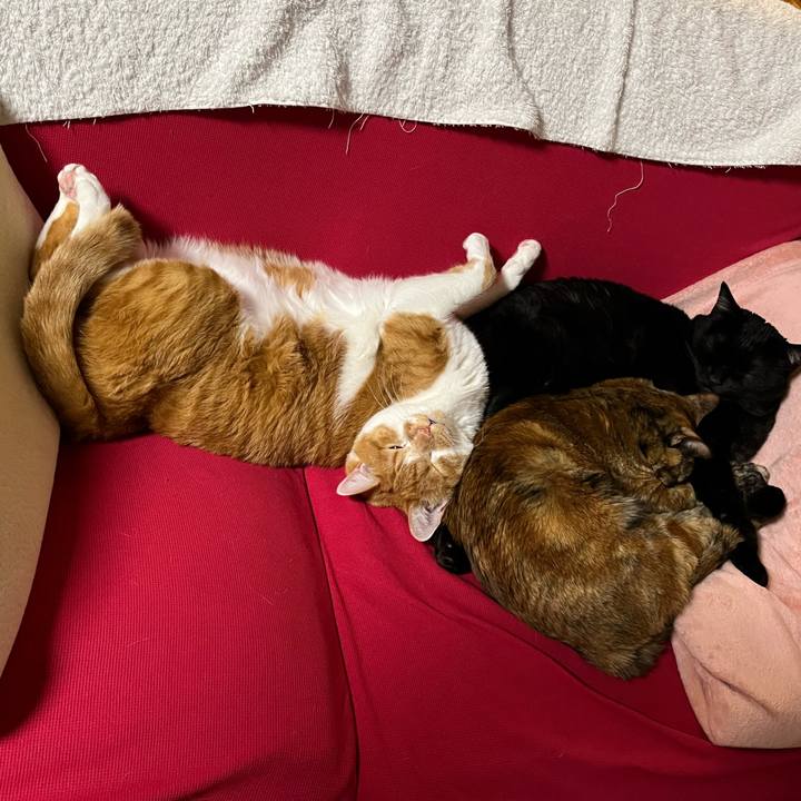 D4dba8b9 2008 4bbe b872 3fd7b223e746 1737989118009