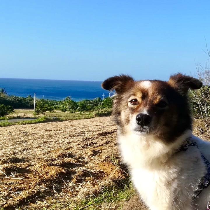 D4dbc4ee d24c 46b4 b742 ca496ce78afc 1549205611569