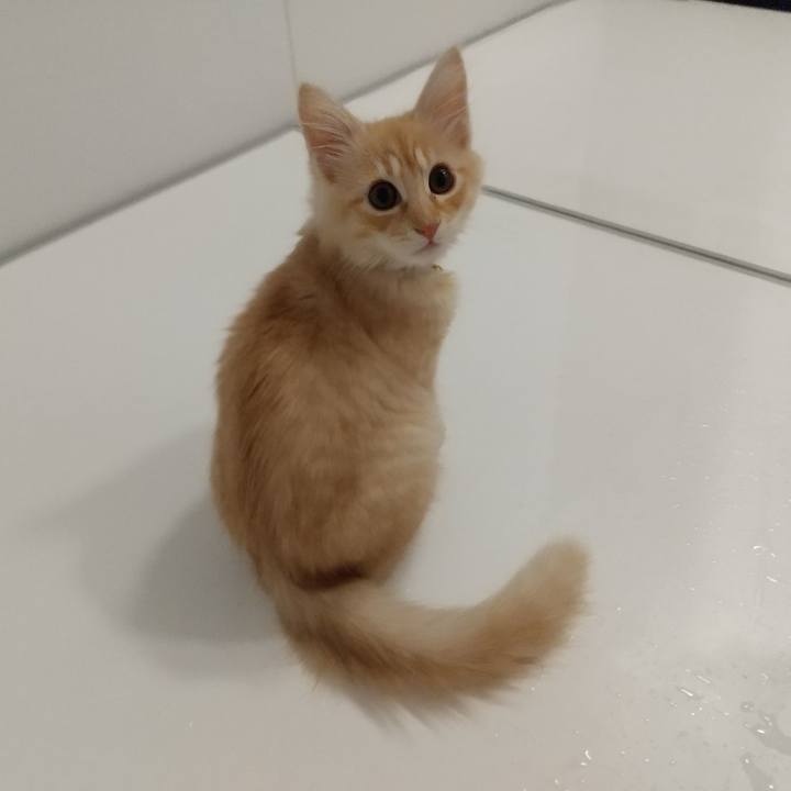 D4dbd443 626d 4007 a46f a3a1942077c3 1606168016722