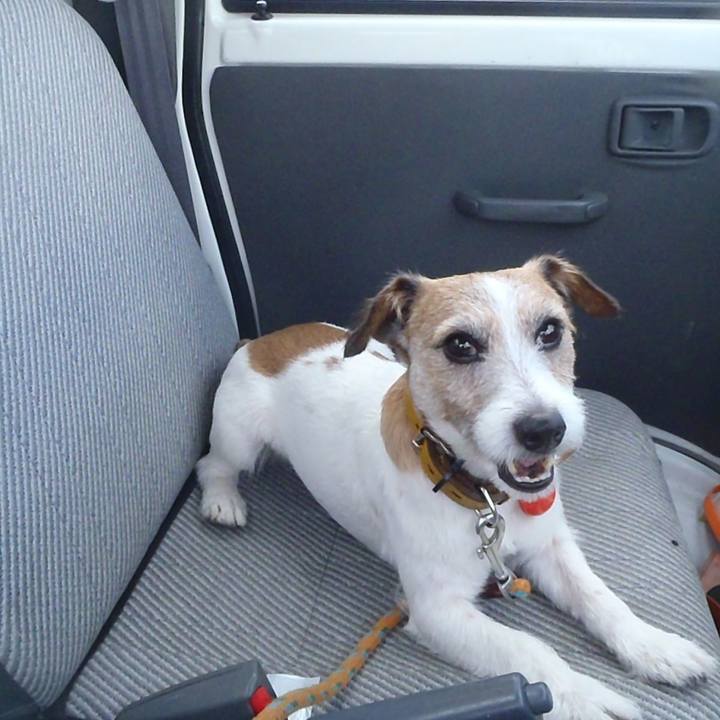 D4dbdf2e 3ba3 4158 9bea 033deaf783da 1525180886571