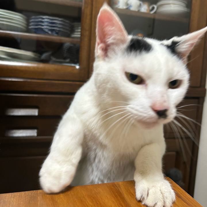 D4dbe9e2 00b0 472b 96fb 6cc7f1d5de87 1745398076694