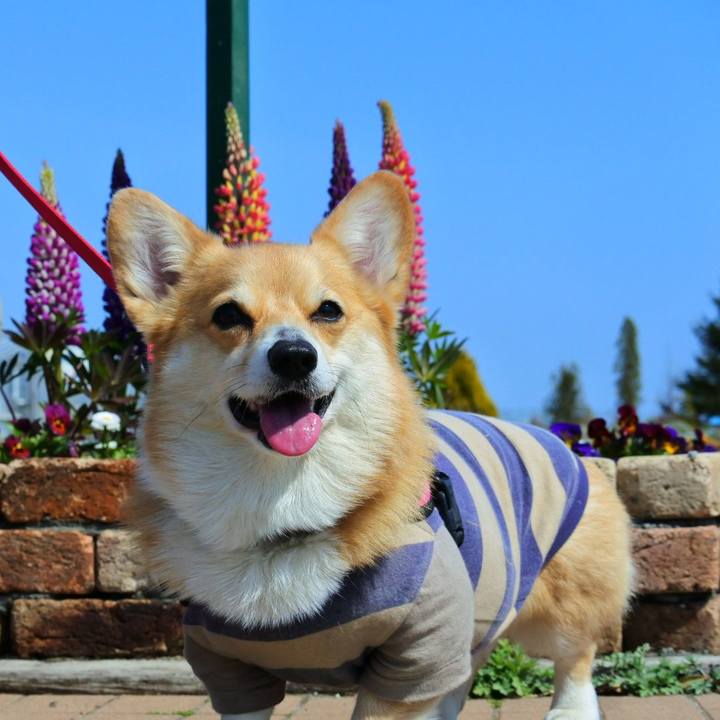 D4dc199e c300 412a ab9b 8b9b4c537629 1616851175006