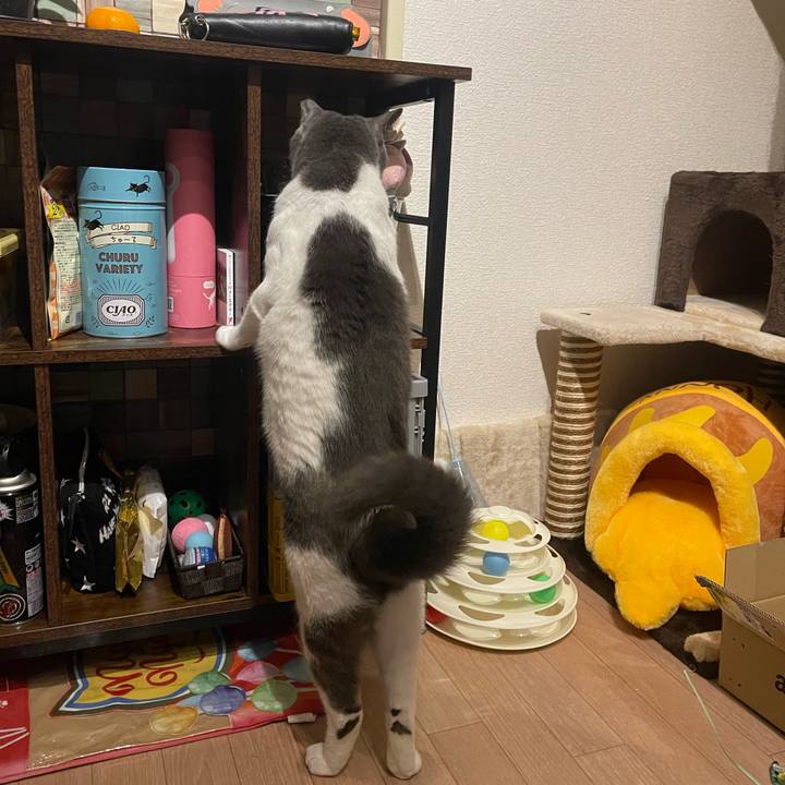 D4dc1e2a 4c2e 4b3f 8bd0 2a26de159eb2 1700563005647