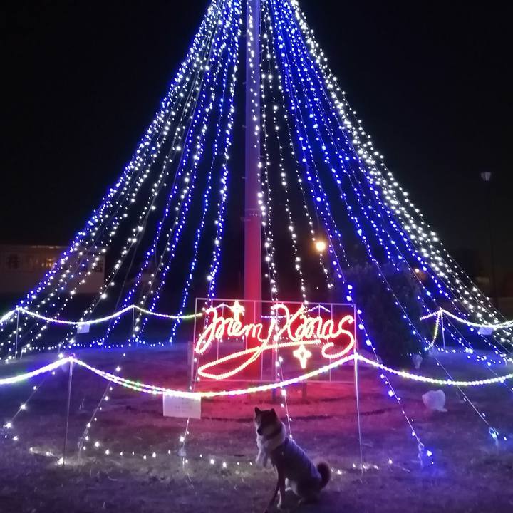 D4dc5912 5061 4baf ae1e c8ec7bc549b8 1638109787100