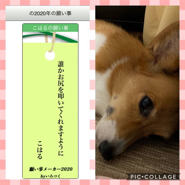 D4dc63d8 9d47 4be0 b39b f24438327a88 1594120566417