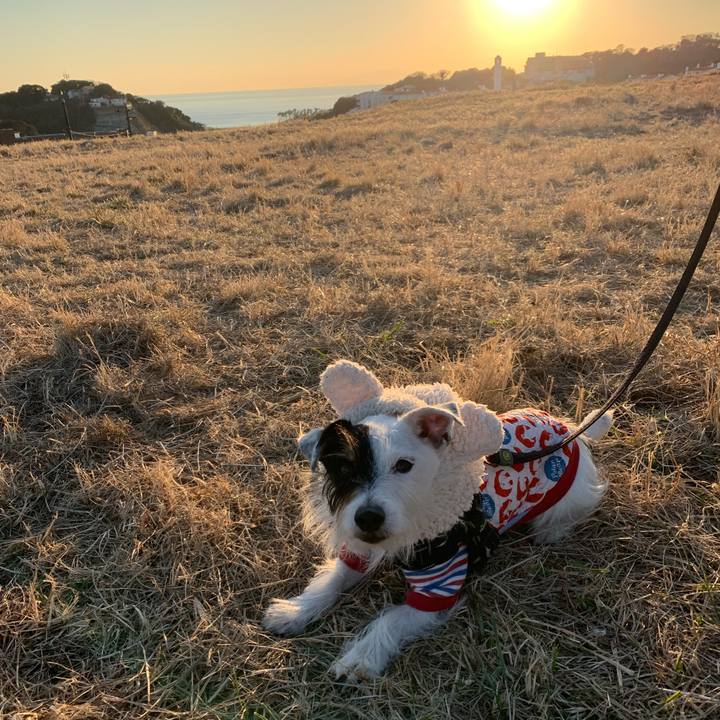 D4dc7775 cb60 422c 808a 2767e5215e27 1672298576341