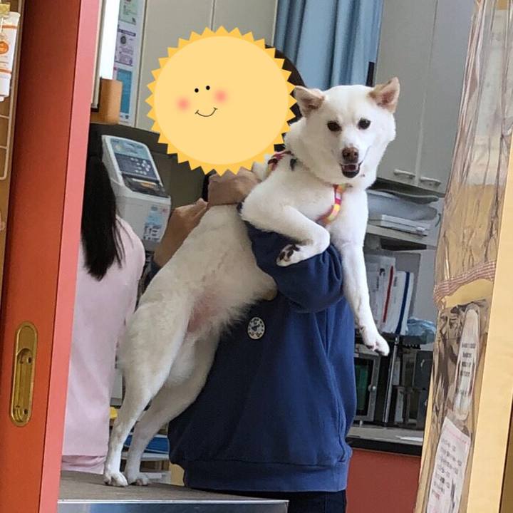 D4dc9ab7 5ec3 4aab a5f6 366bbf2aec36 1556780323916